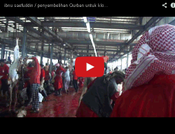 vidéo d'égorgement par des musulmans pacifiques et tolérants, islam tolérance paix